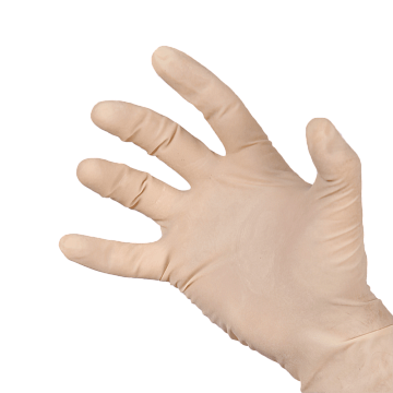 Перчатки анатомические